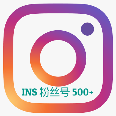 Instagram粉丝号（500）